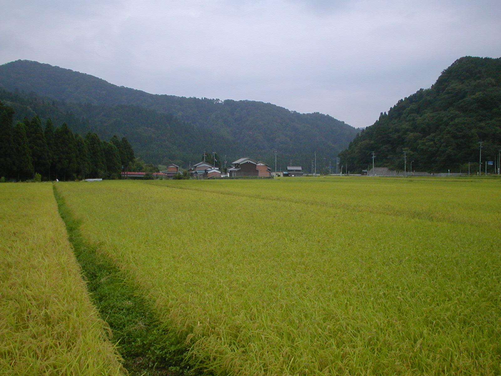 JR521系　北陸線　余呉－長浜（2007.01.06）
